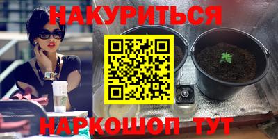 мяу мяу мука Бийск