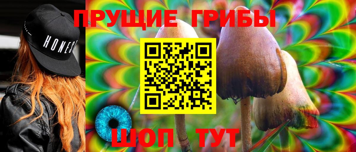 Псилоцибиновые грибы Psilocybine cubensis Вязники